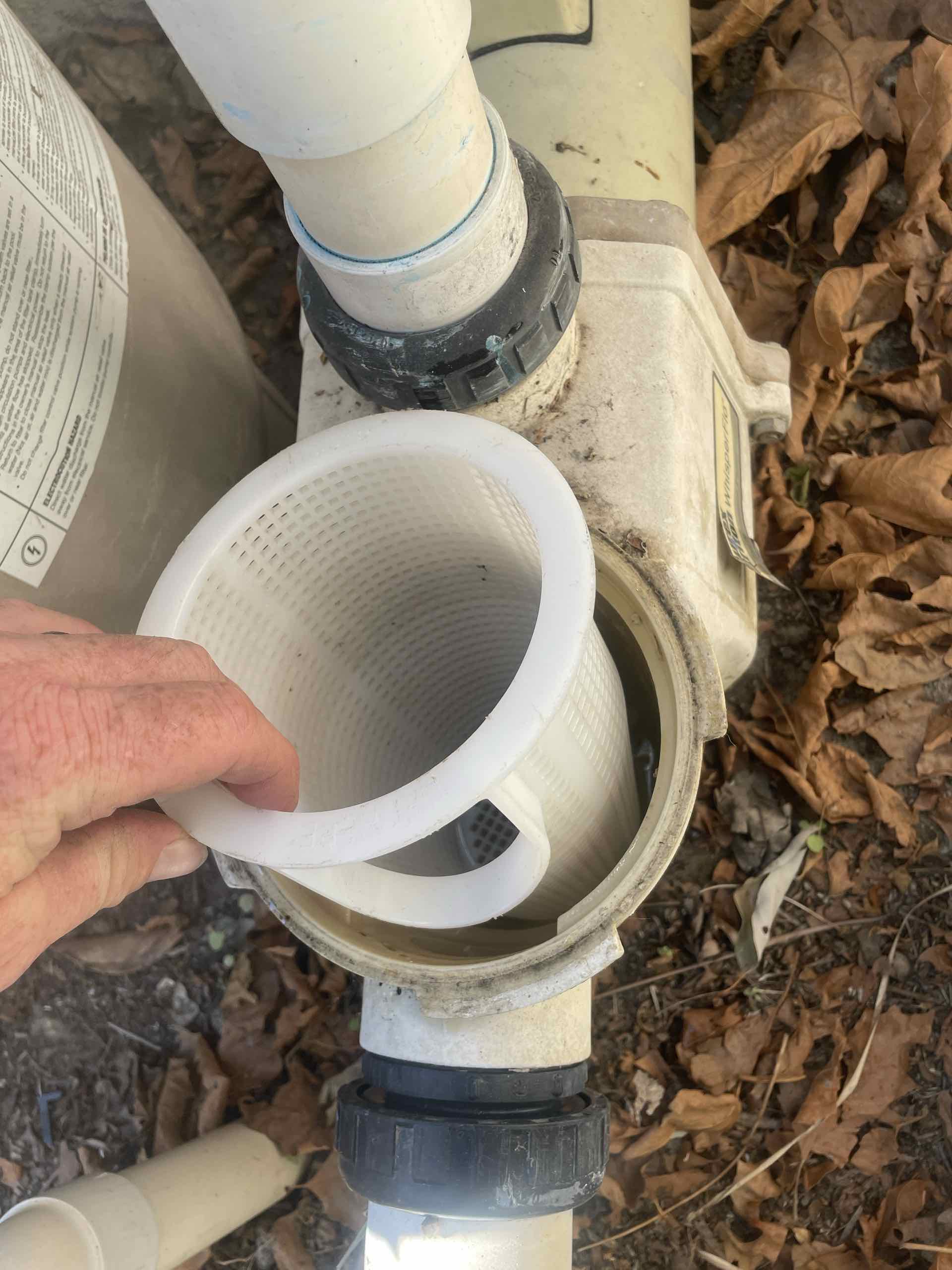 Close-up of an outdoor pool pump with PVC pipe union fittings and a black locking collar, surrounded by dry leaves on the ground.